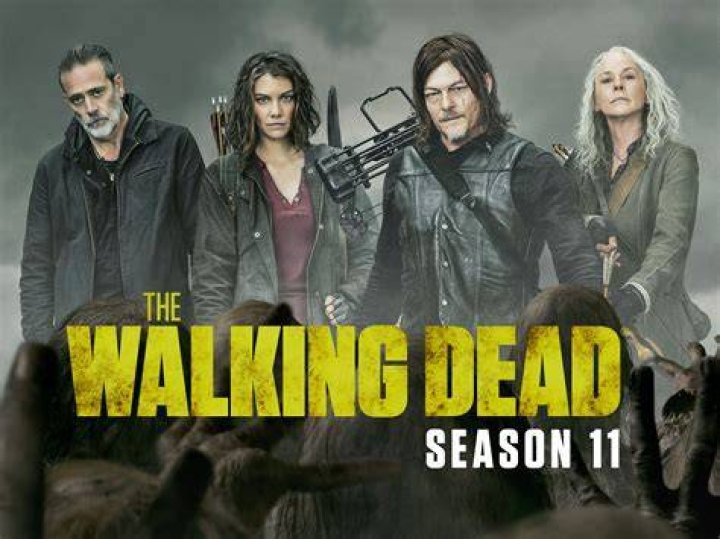 
”Been waiting too long”: The Walking Dead fans thrilled as season 11 hits Netflix 