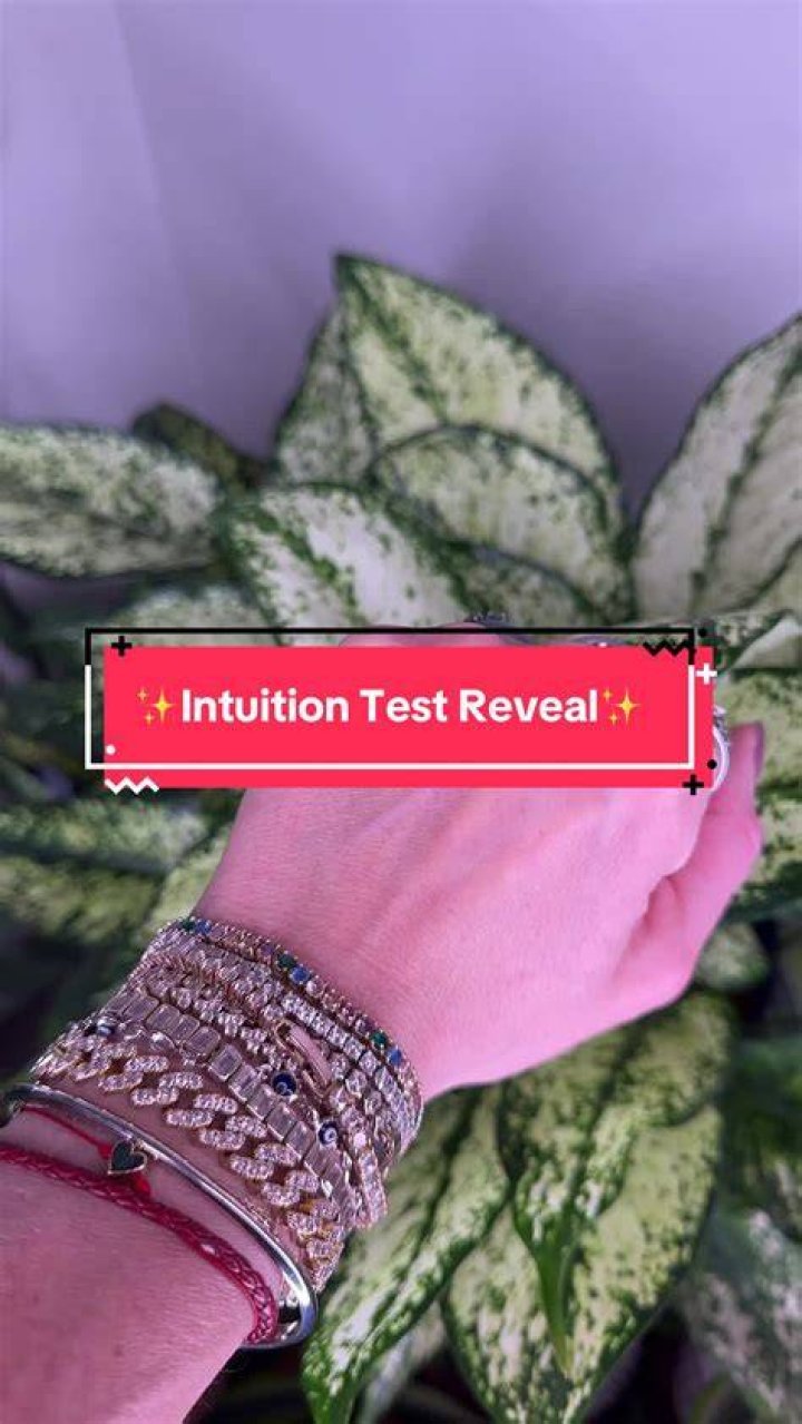 
Intuition Test TikTok Meaning, What Is This New Game All About? 