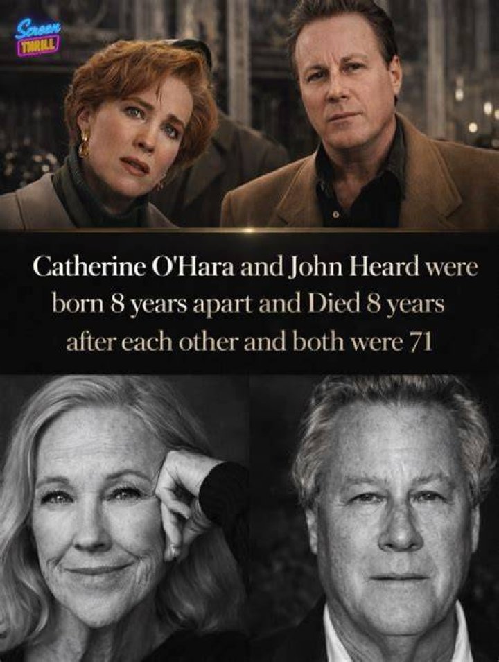 Is Amber Heard Related To John Heard? Relation Between Them Explored