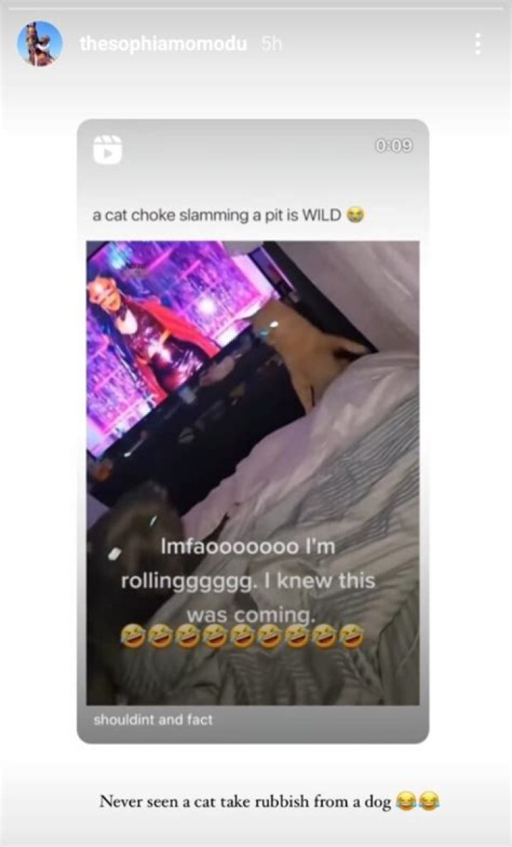 
“Never Seen A Cat Take Rubbish From A Dog”- Sophia Momodu Throws Shades At Davido Hours After Unfollowing Him 