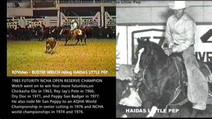 
What Happened To Buster Welch? Death Of Cutting Horse Trainer Shocks Fans 